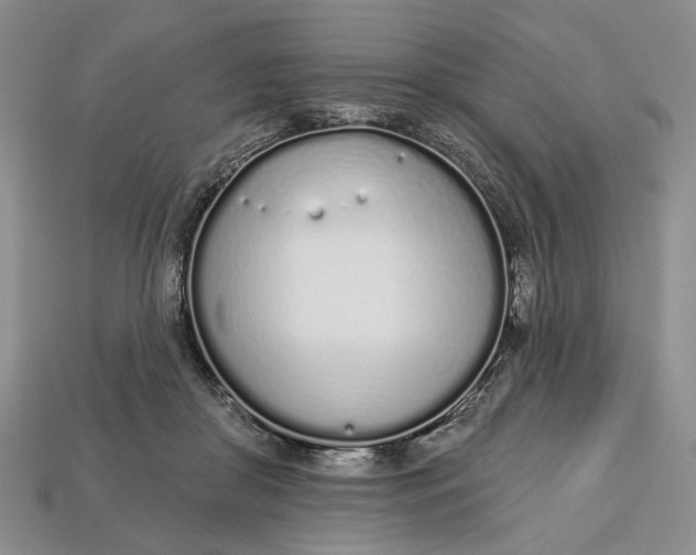 X0000112720410200909101451