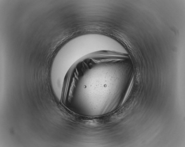 X0000112720411200909101451