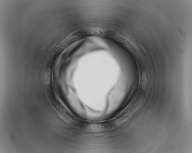 X0000112720413200909101451