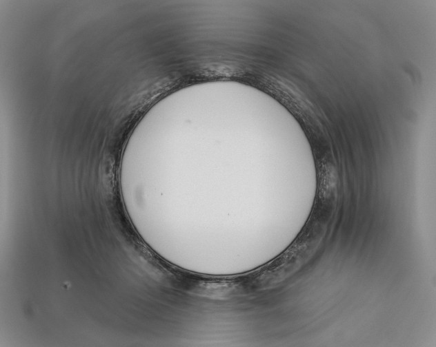 X0000112720414200909101451