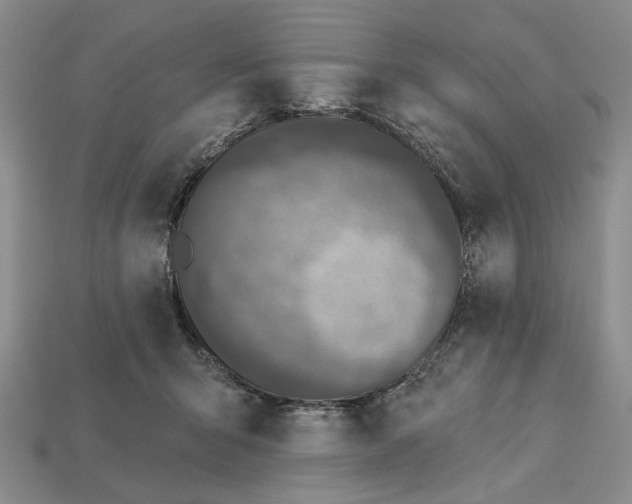 X0000112720415200909101451