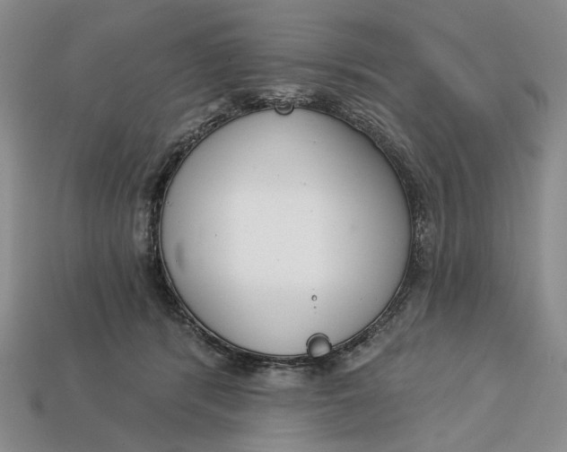 X0000112720416200909101451