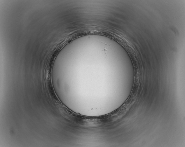 X0000112720417200909101451