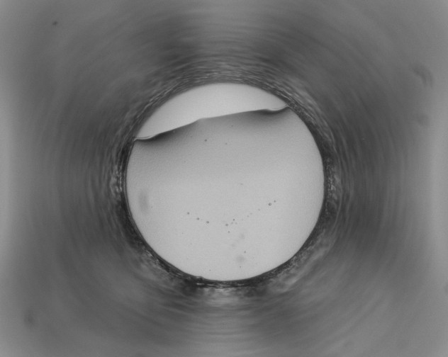 X0000112720419200909101451