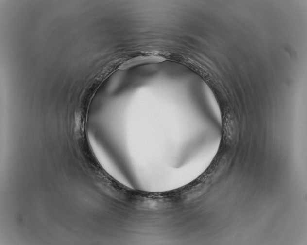 X0000112720420200909101451