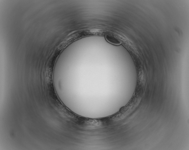 X0000112720421200909101451