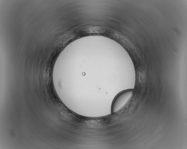 X0000112720422200909101451