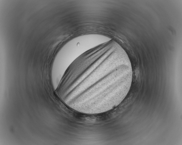 X0000112720423200909101451