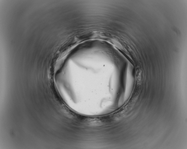 X0000112720424200909101451