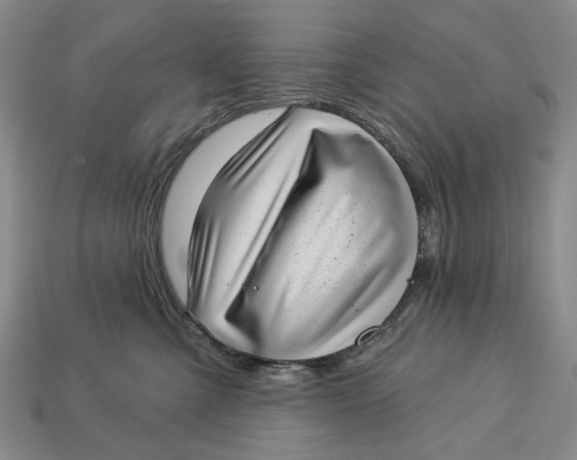 X0000112720427200909101451