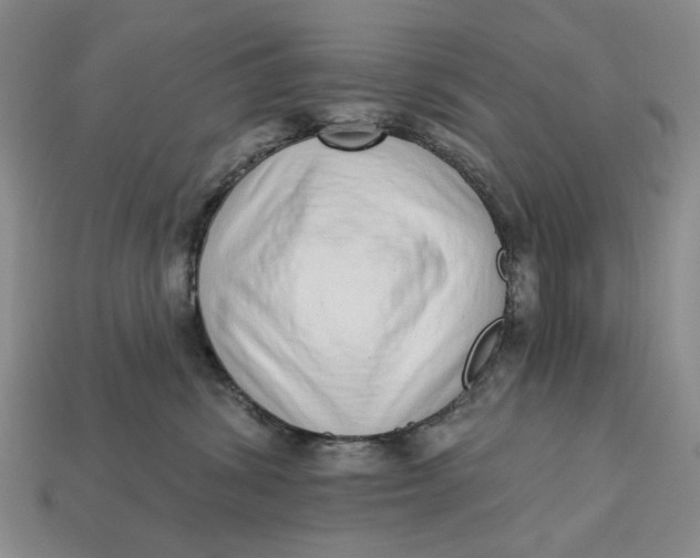 X0000112720428200909101451