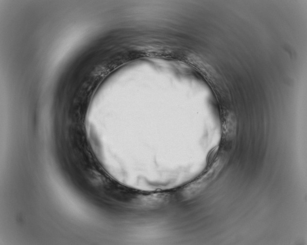 X0000112720430200909101451