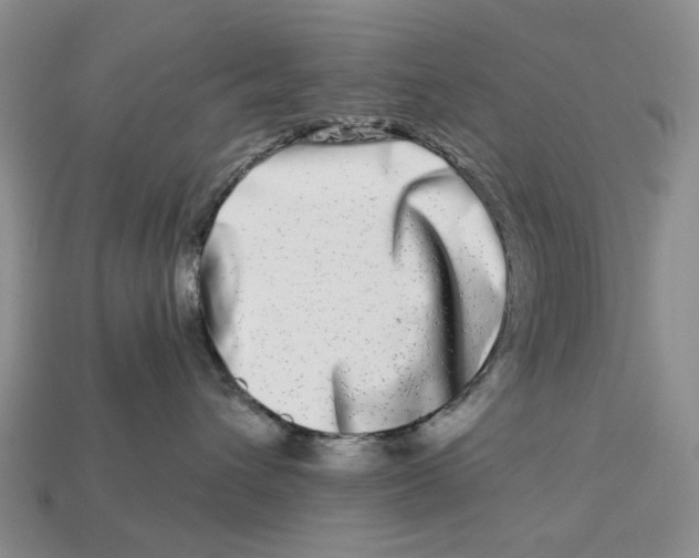 X0000112720432200909101451