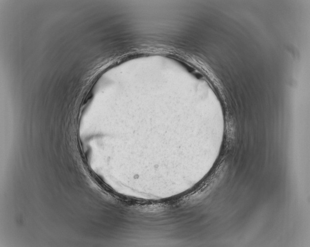 X0000112720433200909101450