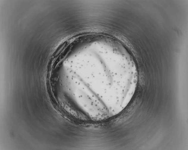 X0000112720434200909101450