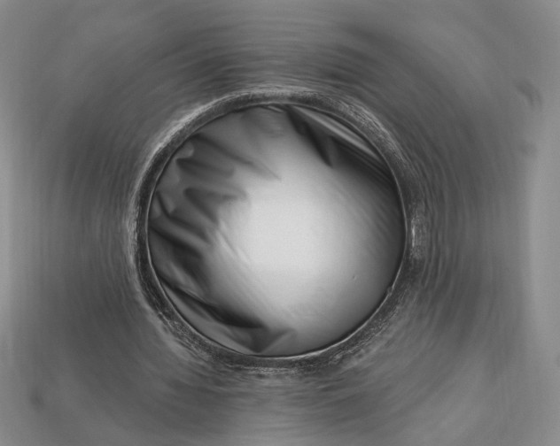 X0000112720436200909101450