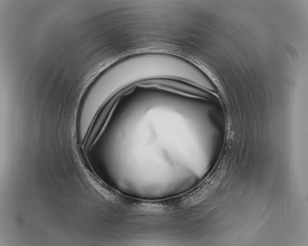 X0000112720437200909101450