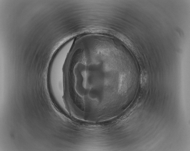 X0000112720438200909101450