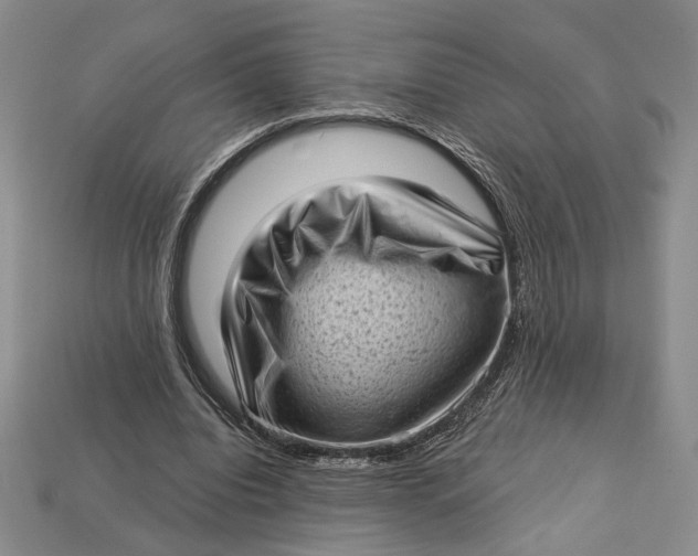 X0000112720440200909101450