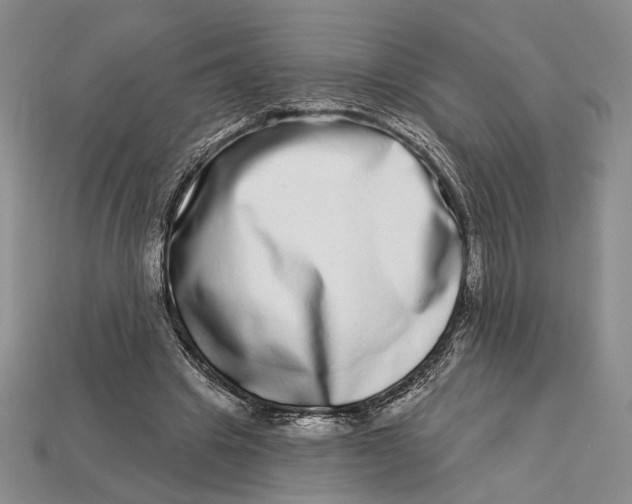 X0000112720441200909101450