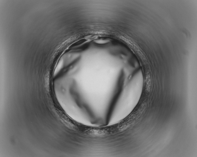 X0000112720442200909101450