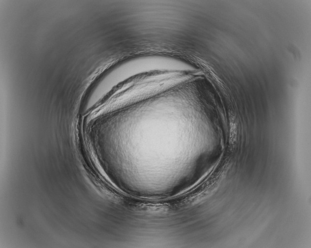 X0000112720443200909101450