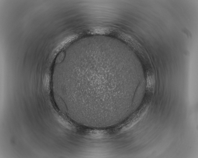 X0000112720444200909101450