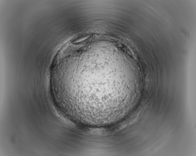 X0000112720446200909101450