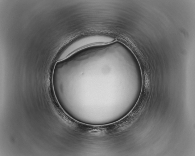 X0000112720447200909101450