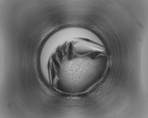 X0000112720448200909101450