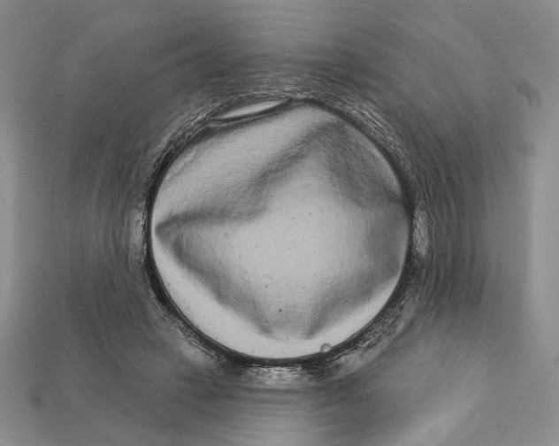 X0000112720449200909101450