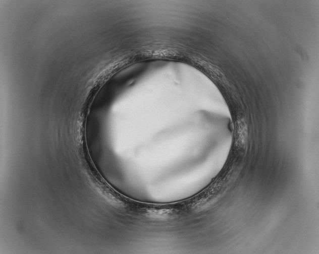 X0000112720450200909101450