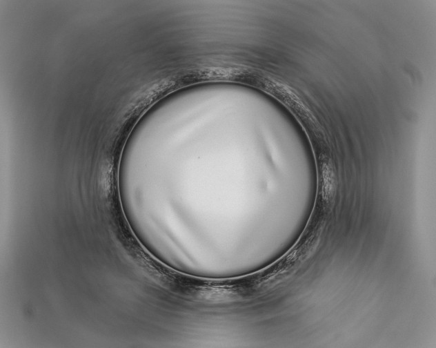 X0000112720451200909101450