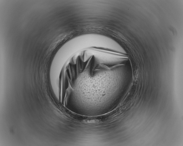 X0000112720452200909101450