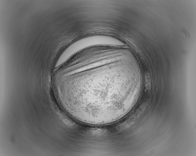 X0000112720453200909101450