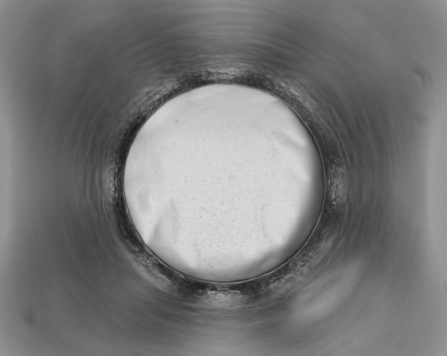 X0000112720455200909101450