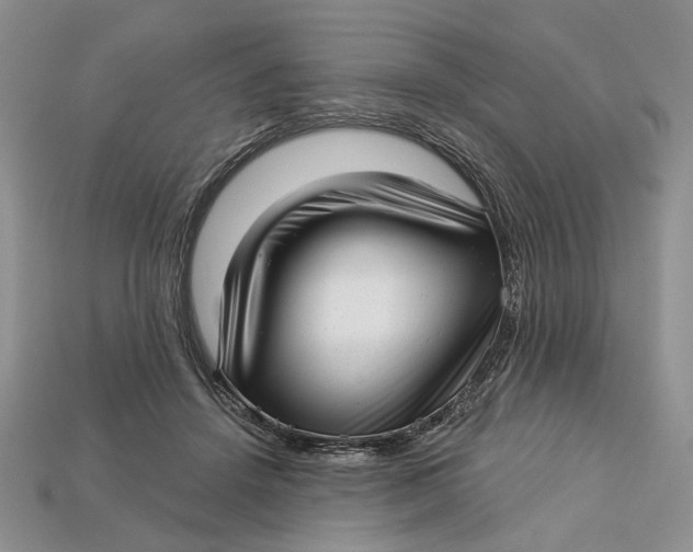 X0000112720456200909101450