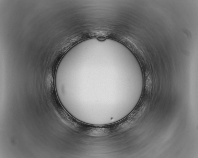 X0000112720459200909101450