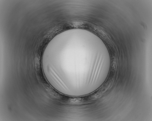 X0000112720461200909101450