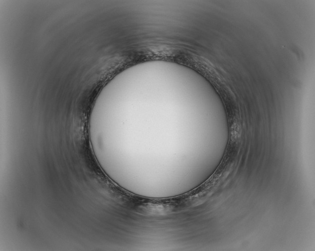 X0000112720464200909101450