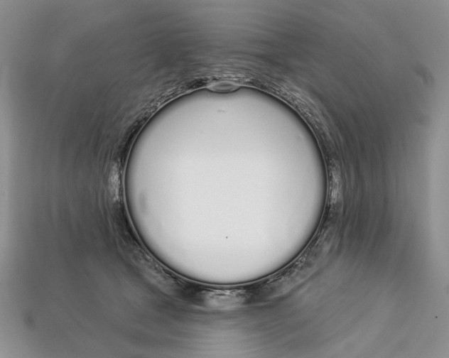 X0000112720465200909101450