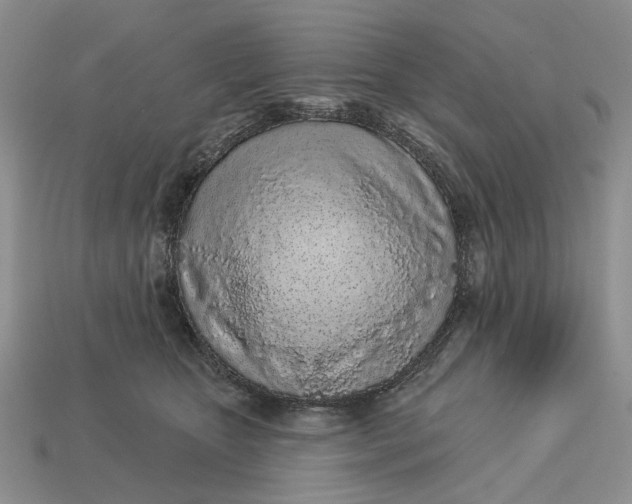 X0000112720467200909101450