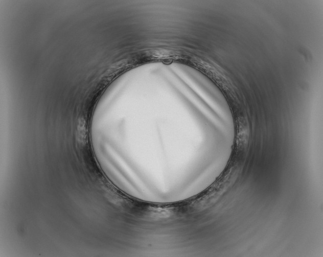 X0000112720469200909101450