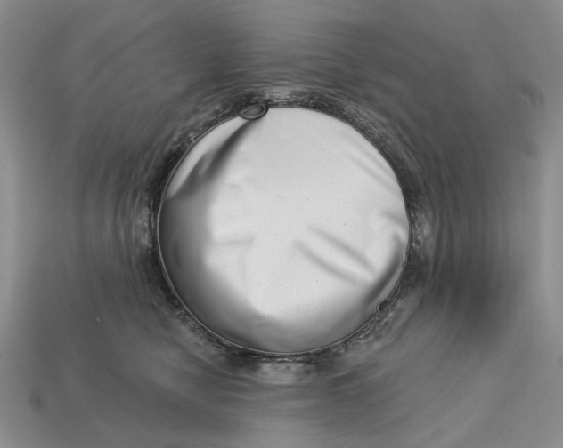 X0000112720470200909101450