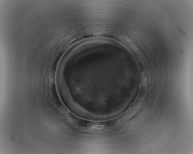 X0000112720471200909101450