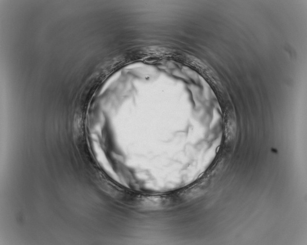 X0000112720473200909101450