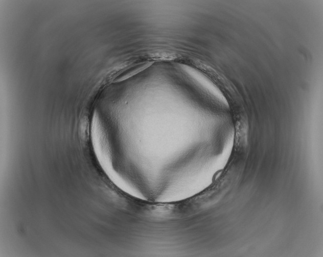 X0000112720474200909101450