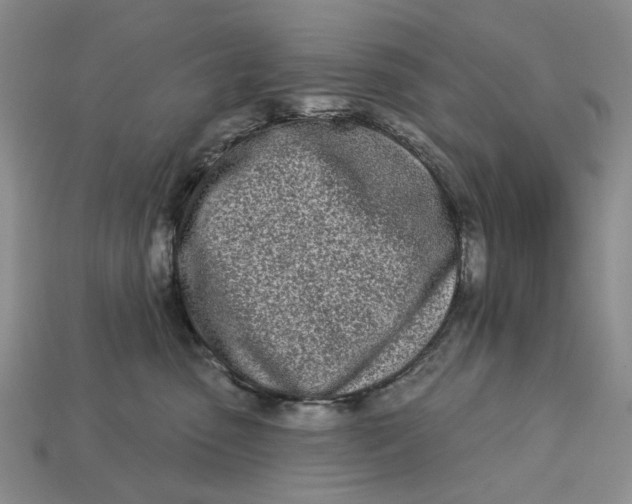 X0000112720475200909101450