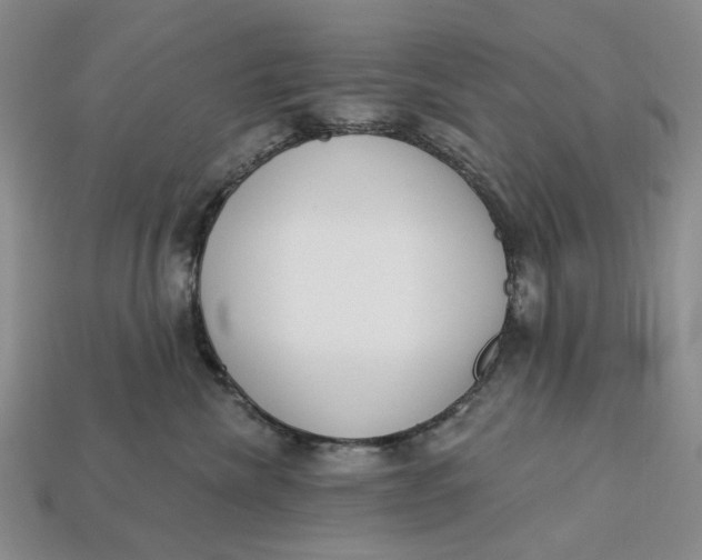 X0000112720476200909101450