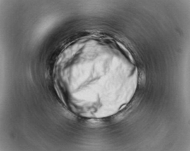 X0000112720477200909101450